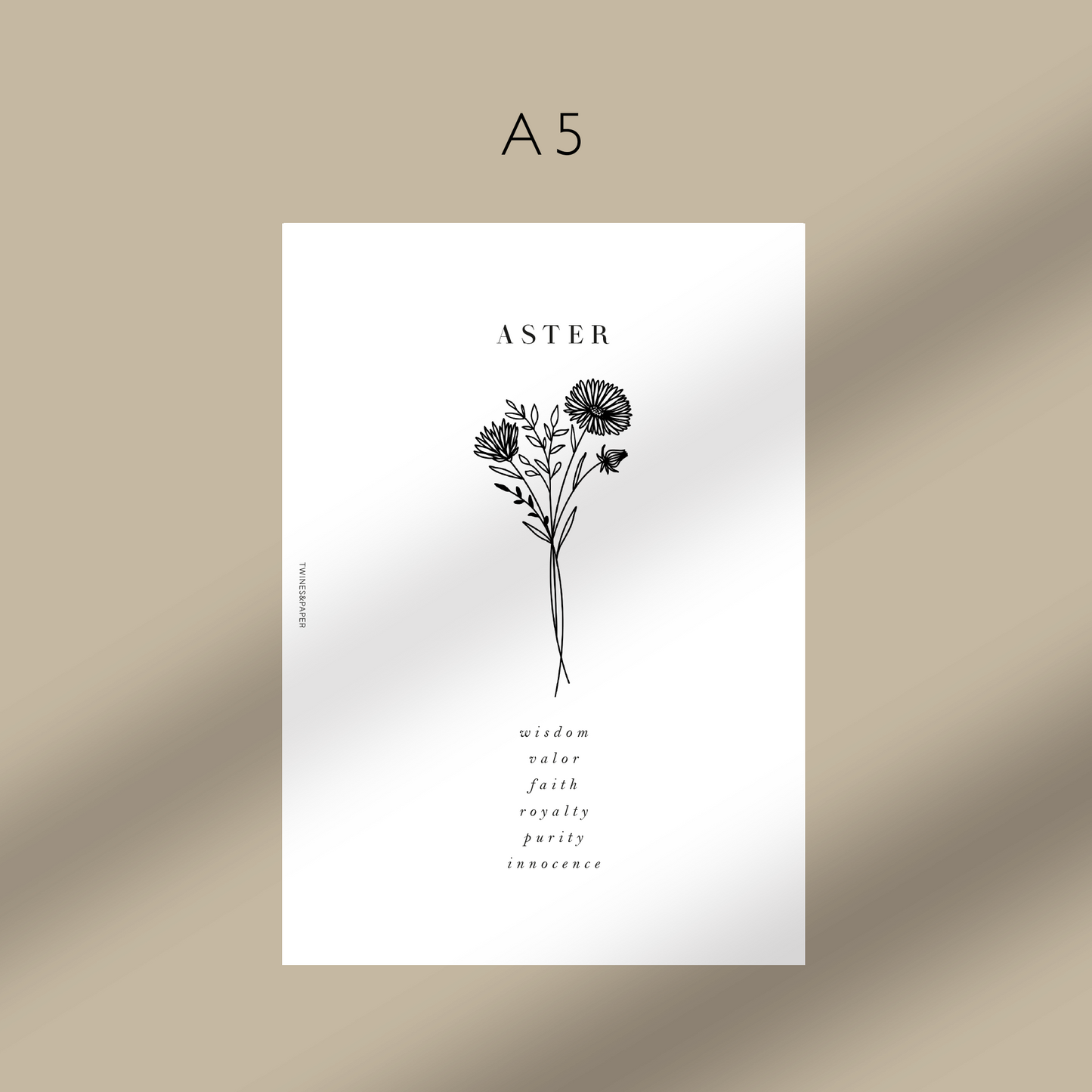 "Aster - September" Birth Month Flowers - Printable Dashboards