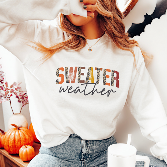 "Sweater Weather" Sweatshirt/Hoodie • Fall
