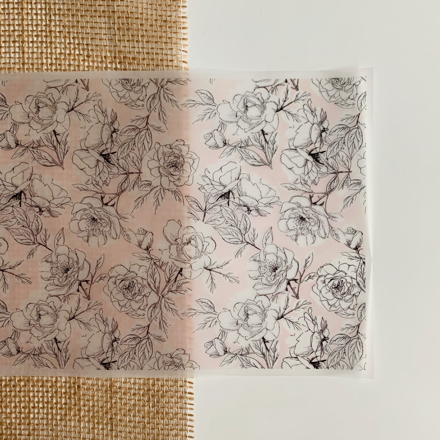 CV014 Wild Roses Soft Blush farbiges Pergament-A4-Blatt